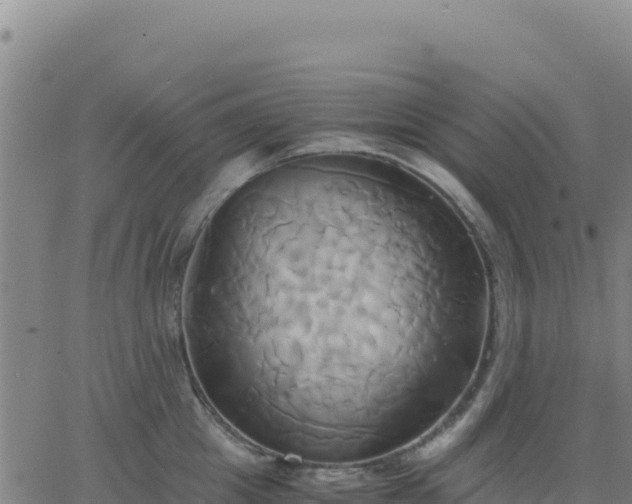 X0000063470857200601271628