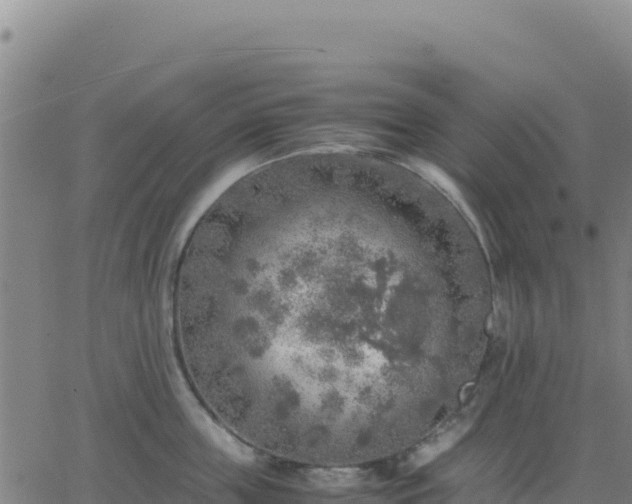 X0000063470859200601271628