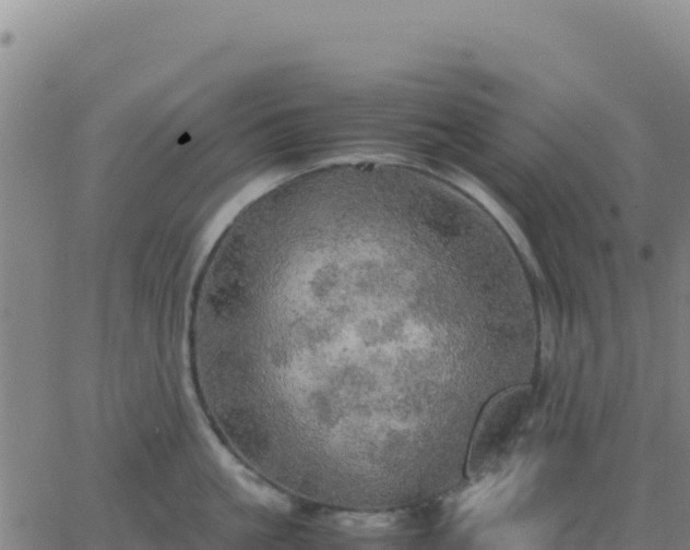 X0000063470861200601271628