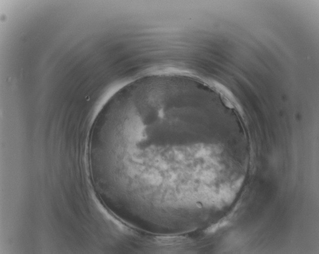 X0000063470863200601271628