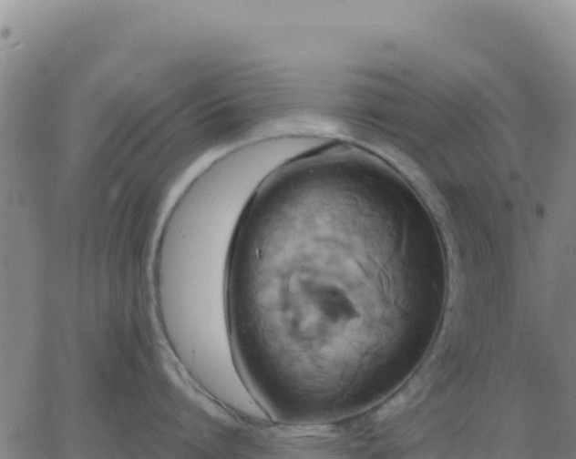 X0000063470864200601271628