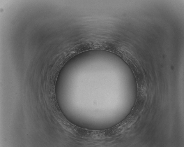 X0000063470865200601271627