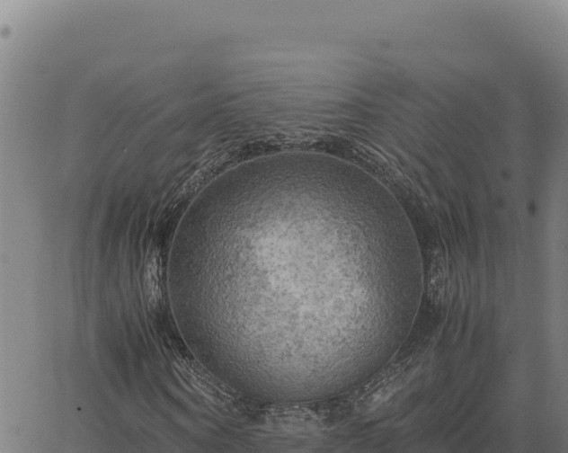 X0000063470866200601271627