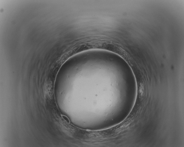 X0000063470867200601271627