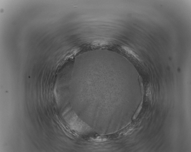 X0000063470868200601271627