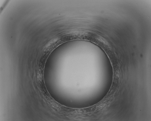 X0000063470869200601271627