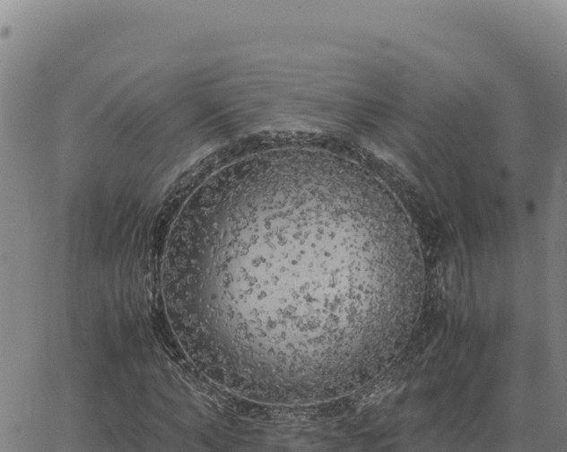 X0000063470870200601271627