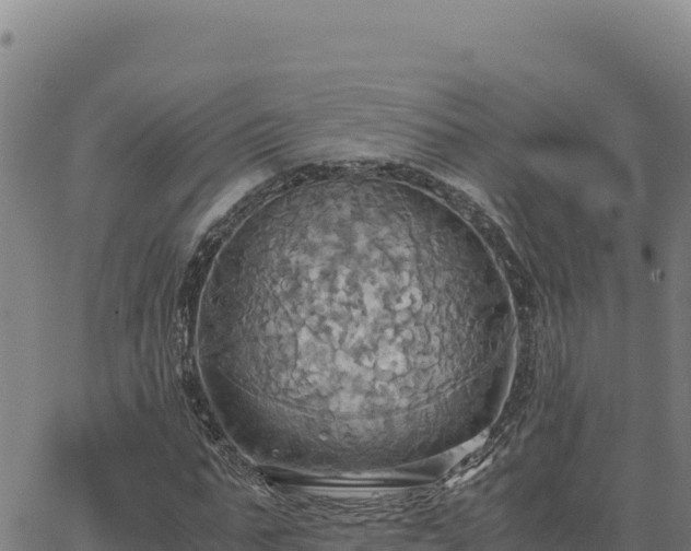 X0000063470871200601271627