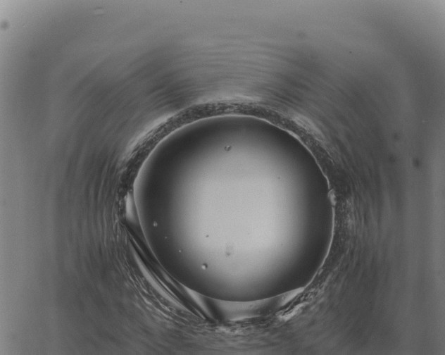 X0000063470872200601271627