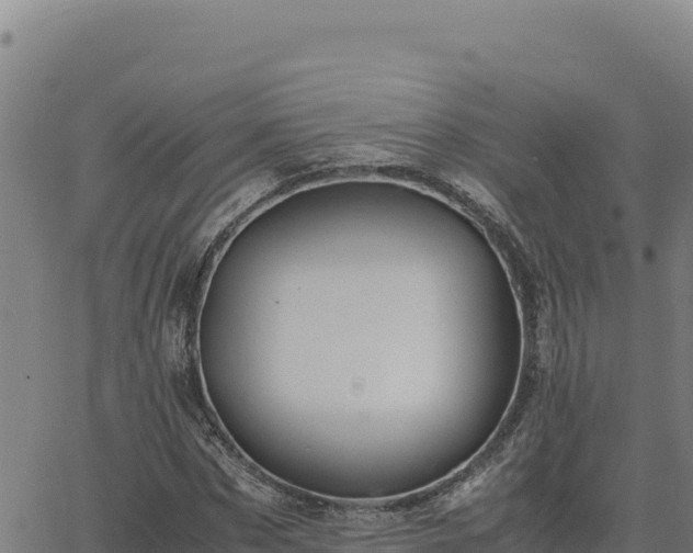 X0000063470873200601271627