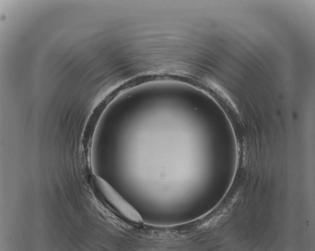 X0000063470876200601271627