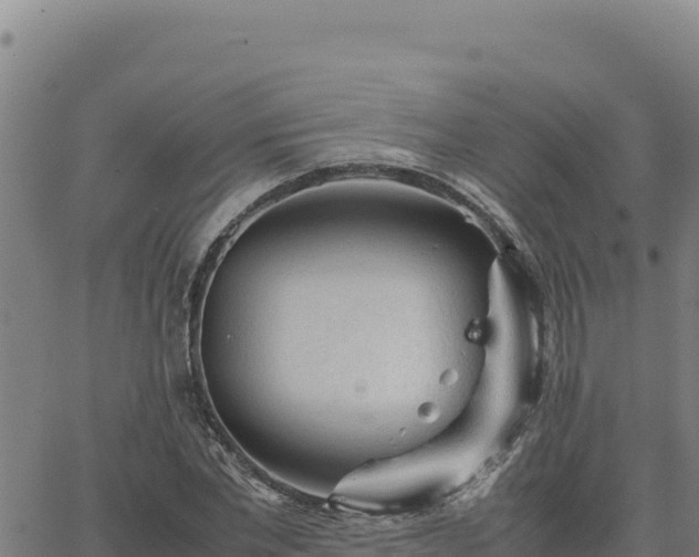 X0000063470877200601271627