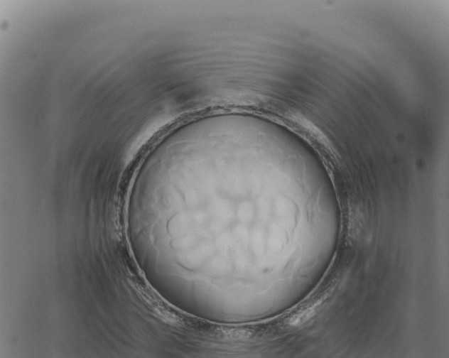 X0000063470878200601271627