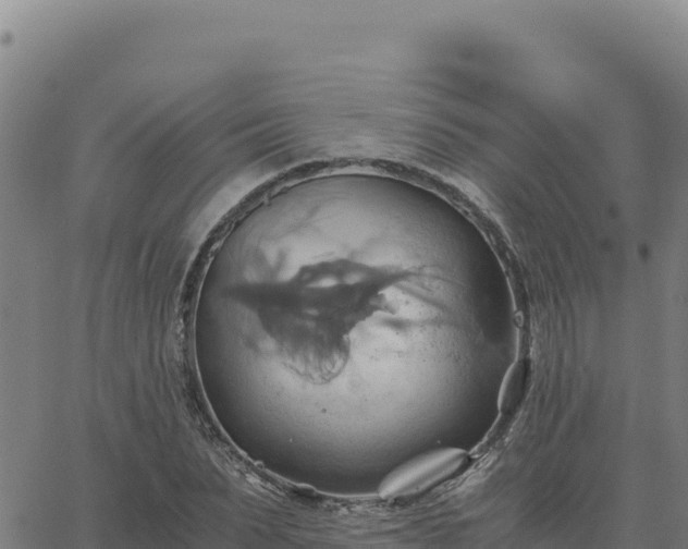 X0000063470879200601271627