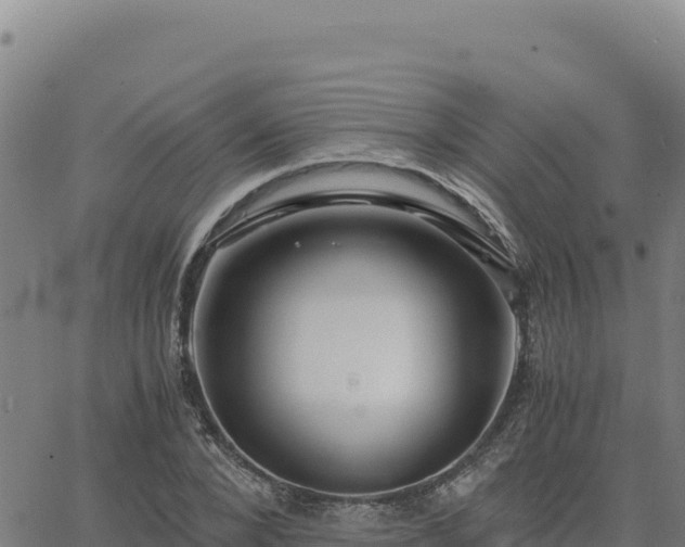 X0000063470880200601271627