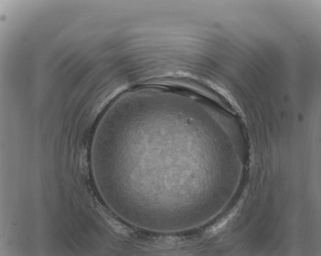 X0000063470881200601271627