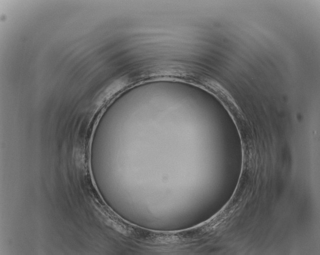 X0000063470882200601271627