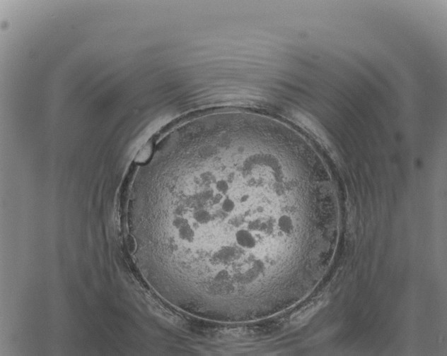 X0000063470883200601271627