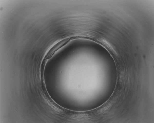 X0000063470884200601271627