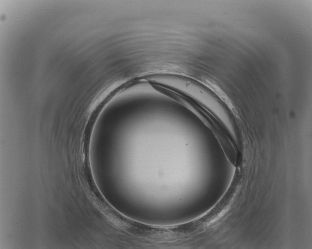 X0000063470885200601271627