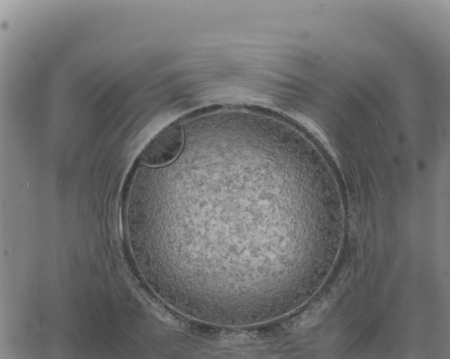 X0000063470887200601271627