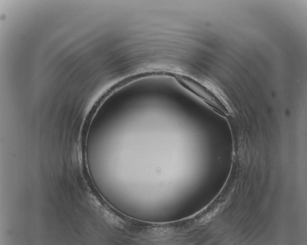 X0000063470888200601271627