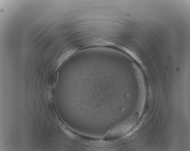 X0000063470889200601271627