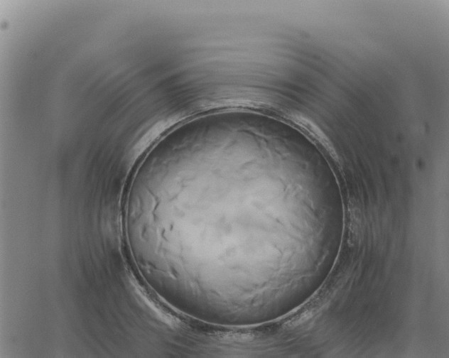 X0000063470890200601271627