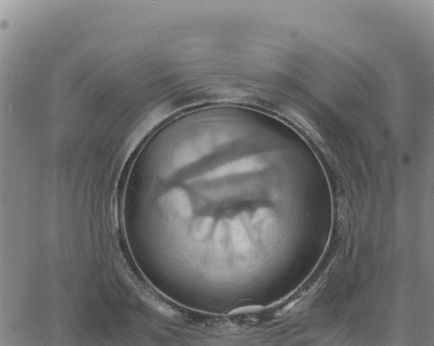 X0000063470891200601271627