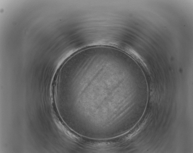 X0000063470892200601271627