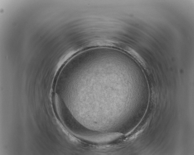 X0000063470893200601271627