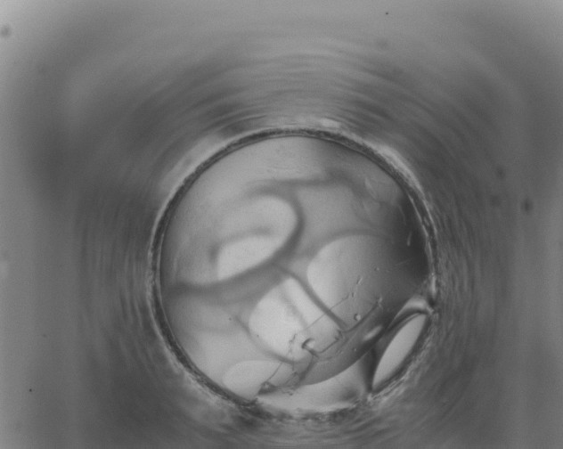 X0000063470895200601271626