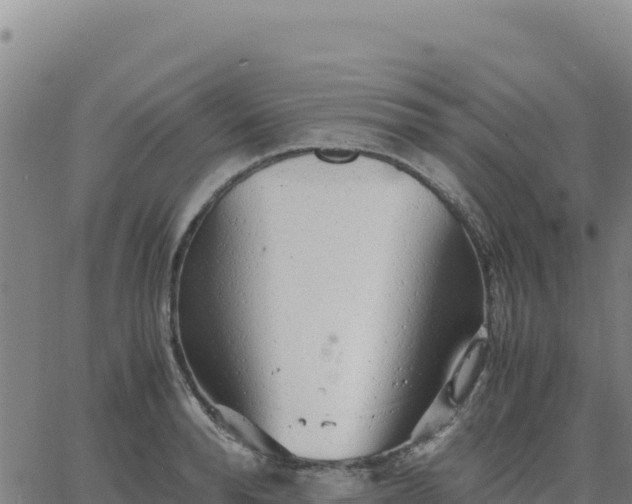 X0000063470896200601271626