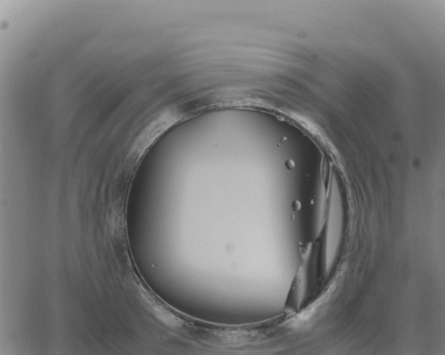 X0000063470897200601271626