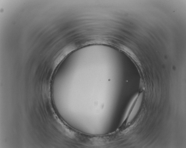 X0000063470898200601271626