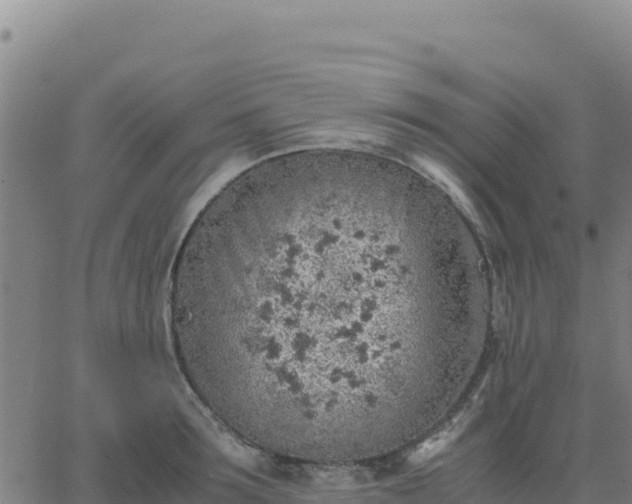 X0000063470899200601271626