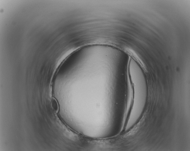 X0000063470900200601271626