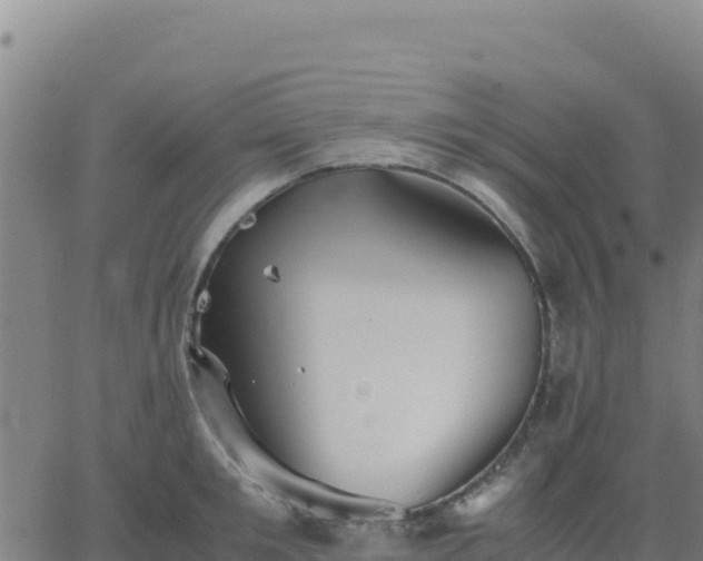 X0000063470901200601271626