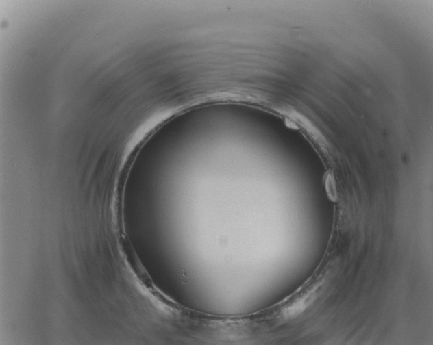 X0000063470902200601271626