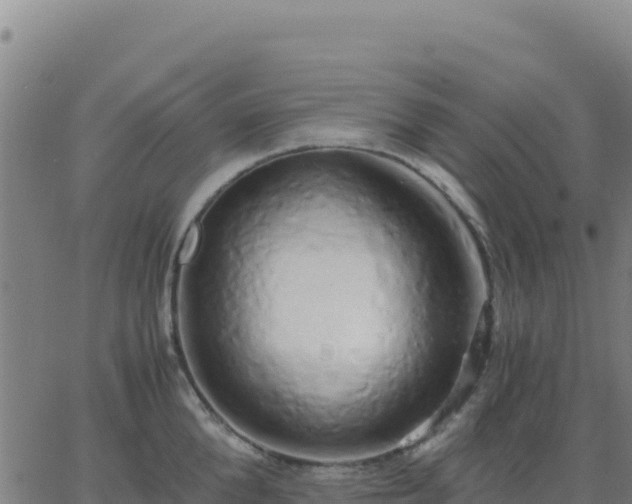 X0000063470904200601271626