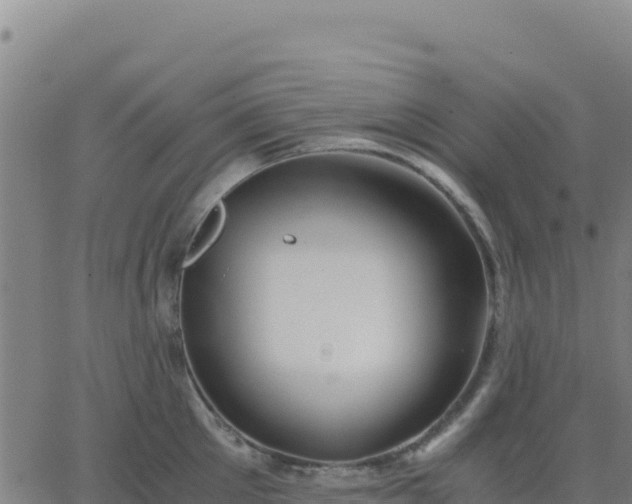 X0000063470905200601271626