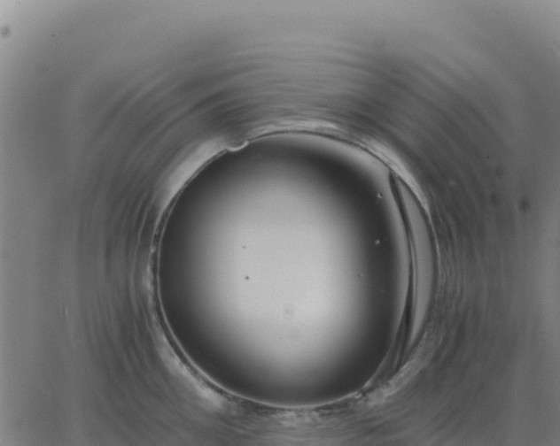 X0000063470906200601271626