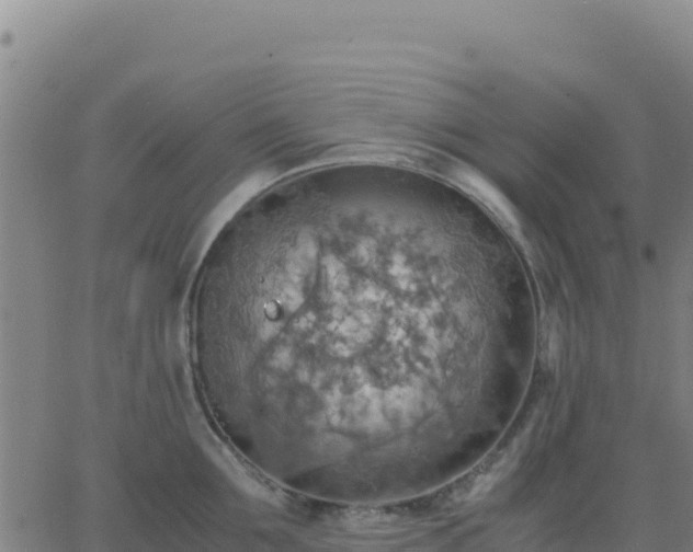 X0000063470907200601271626