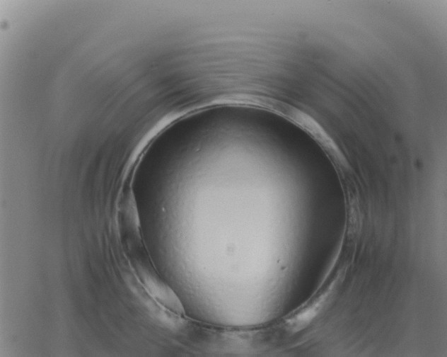 X0000063470908200601271626