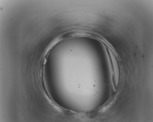 X0000063470909200601271626