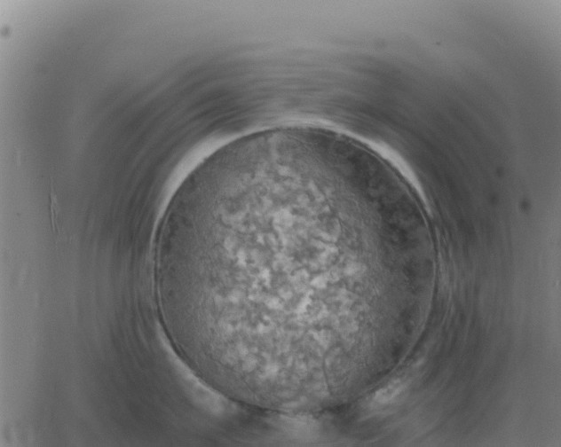 X0000063470911200601271626