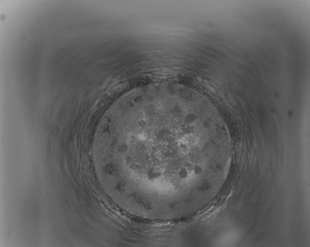 X0000063470913200601271625