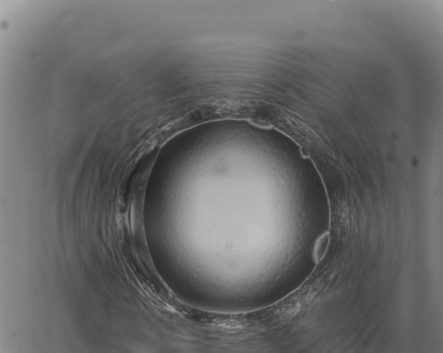 X0000063470914200601271625