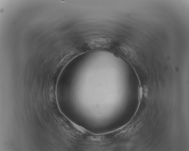 X0000063470915200601271625