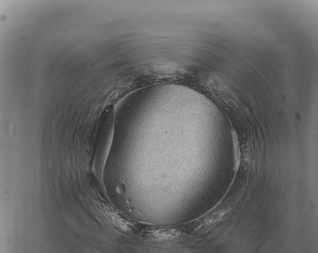 X0000063470916200601271625